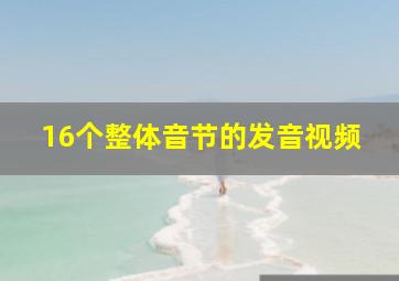 16个整体音节的发音视频