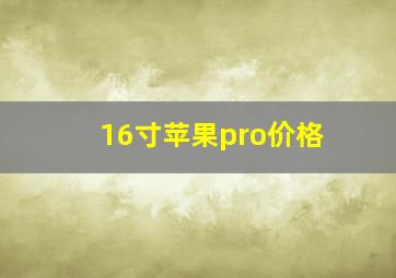 16寸苹果pro价格