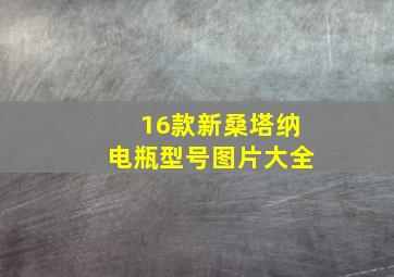 16款新桑塔纳电瓶型号图片大全