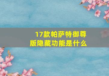 17款帕萨特御尊版隐藏功能是什么