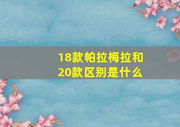 18款帕拉梅拉和20款区别是什么