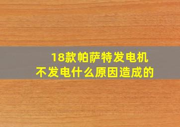 18款帕萨特发电机不发电什么原因造成的