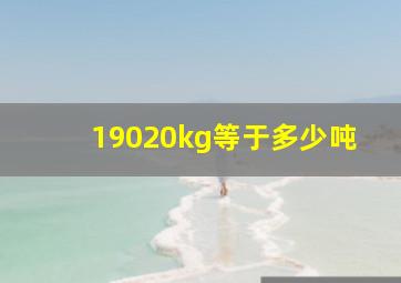 19020kg等于多少吨