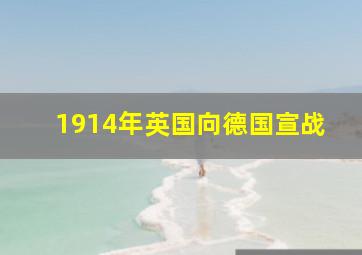 1914年英国向德国宣战