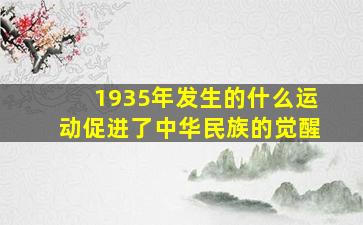 1935年发生的什么运动促进了中华民族的觉醒