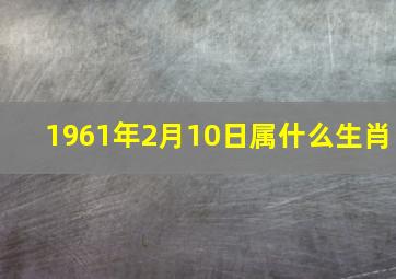 1961年2月10日属什么生肖