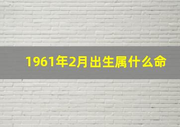 1961年2月出生属什么命