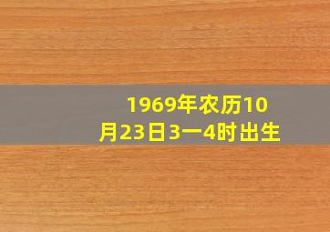 1969年农历10月23日3一4时出生