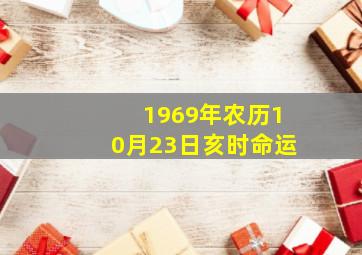 1969年农历10月23日亥时命运