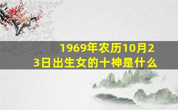 1969年农历10月23日出生女的十神是什么