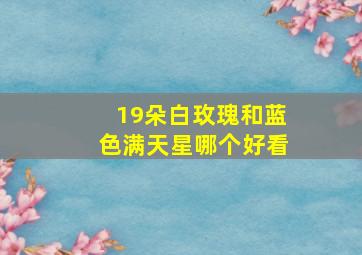 19朵白玫瑰和蓝色满天星哪个好看