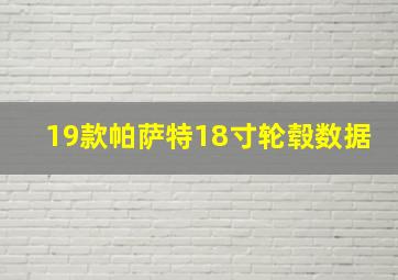 19款帕萨特18寸轮毂数据