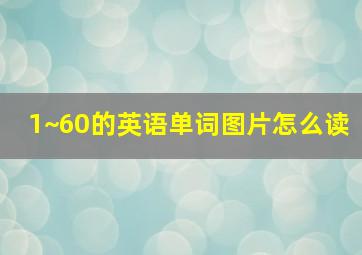 1~60的英语单词图片怎么读