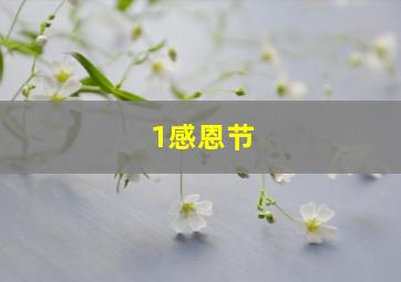 1感恩节