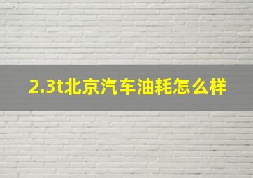 2.3t北京汽车油耗怎么样