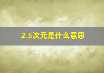 2.5次元是什么意思