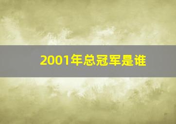 2001年总冠军是谁