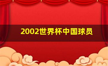 2002世界杯中国球员