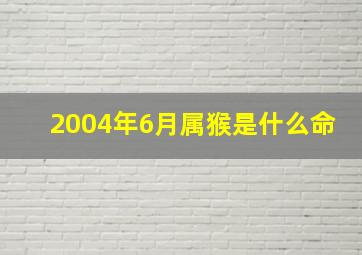 2004年6月属猴是什么命