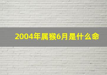 2004年属猴6月是什么命