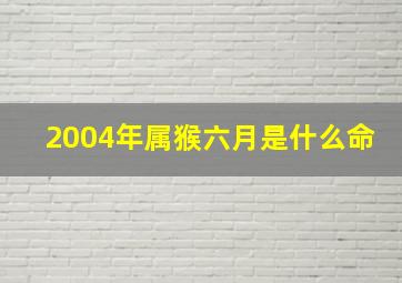 2004年属猴六月是什么命