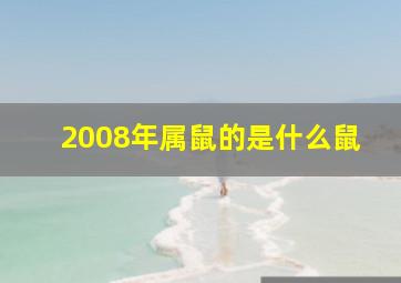 2008年属鼠的是什么鼠