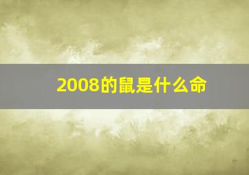 2008的鼠是什么命