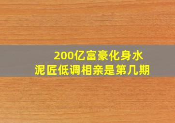 200亿富豪化身水泥匠低调相亲是第几期