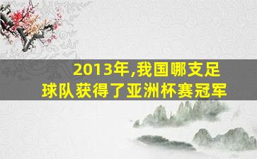 2013年,我国哪支足球队获得了亚洲杯赛冠军