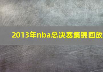 2013年nba总决赛集锦回放