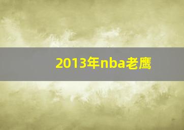 2013年nba老鹰