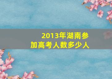 2013年湖南参加高考人数多少人