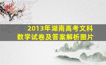 2013年湖南高考文科数学试卷及答案解析图片