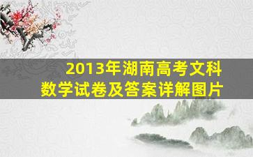 2013年湖南高考文科数学试卷及答案详解图片