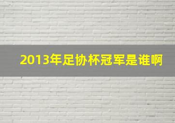 2013年足协杯冠军是谁啊