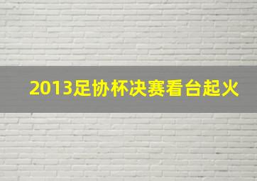 2013足协杯决赛看台起火