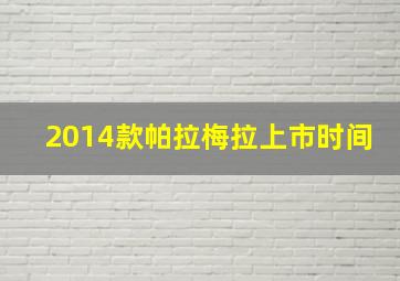 2014款帕拉梅拉上市时间