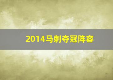 2014马刺夺冠阵容