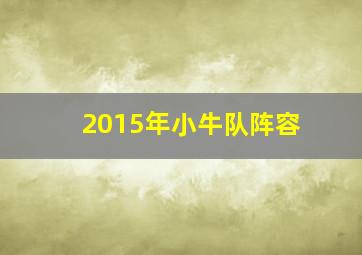 2015年小牛队阵容