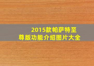 2015款帕萨特至尊版功能介绍图片大全