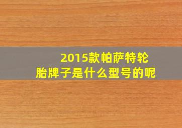 2015款帕萨特轮胎牌子是什么型号的呢