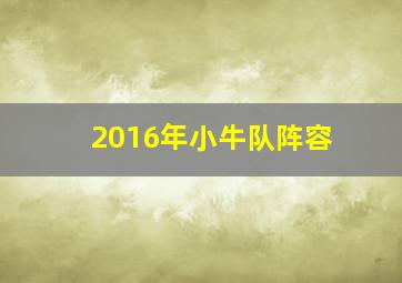 2016年小牛队阵容