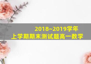 2018~2019学年上学期期末测试题高一数学