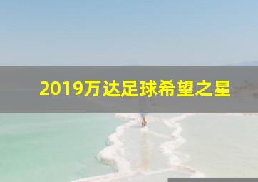 2019万达足球希望之星