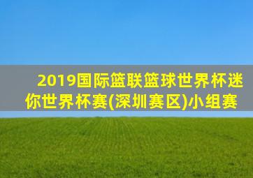 2019国际篮联篮球世界杯迷你世界杯赛(深圳赛区)小组赛