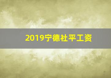 2019宁德社平工资