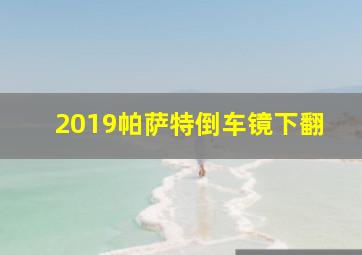 2019帕萨特倒车镜下翻