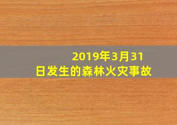 2019年3月31日发生的森林火灾事故