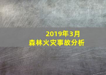 2019年3月森林火灾事故分析