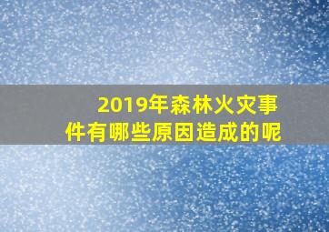 2019年森林火灾事件有哪些原因造成的呢